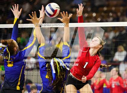 Thumbnail 1 in Haxtun vs. Simla (CHSAA 1A Round 3) photogallery.