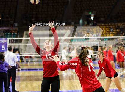 Thumbnail 1 in Haxtun vs. Simla (CHSAA 1A Round 3) photogallery.