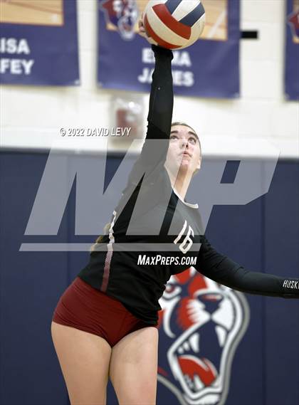 Thumbnail 2 in Hamilton @ Perry photogallery.