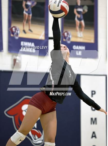 Thumbnail 2 in Hamilton @ Perry photogallery.