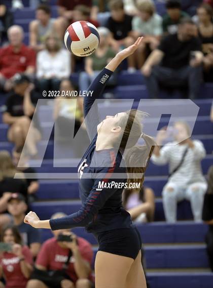 Thumbnail 2 in Hamilton @ Perry photogallery.
