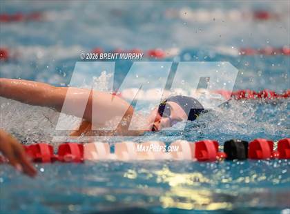 Thumbnail 2 in CHSAA 4A Finals photogallery.
