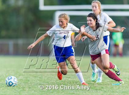 Thumbnail 1 in Dobyns-Bennett @ Volunteer photogallery.