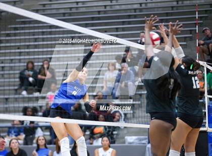 Thumbnail 3 in Plano West vs. Arlington (UIL 6A D2 Area Playoff) photogallery.