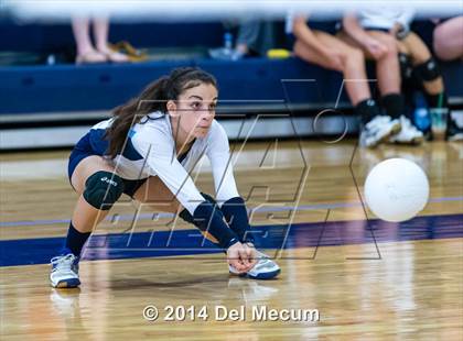 Thumbnail 3 in Newsome vs. Plant (Berkeley JV Tournament) photogallery.