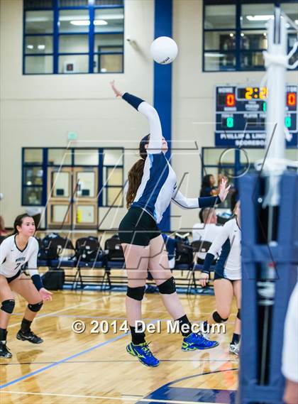 Thumbnail 1 in Newsome vs. Plant (Berkeley JV Tournament) photogallery.
