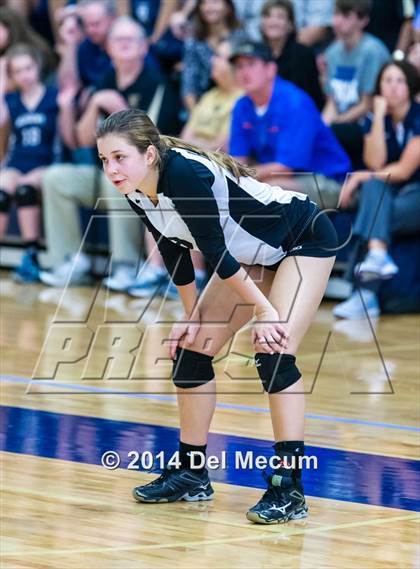 Thumbnail 1 in Newsome vs. Plant (Berkeley JV Tournament) photogallery.