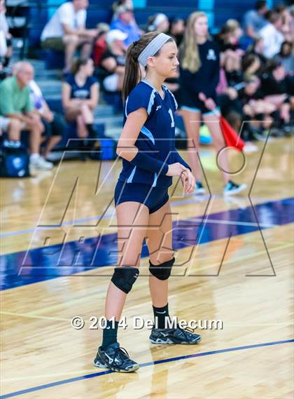 Thumbnail 1 in Newsome vs. Plant (Berkeley JV Tournament) photogallery.