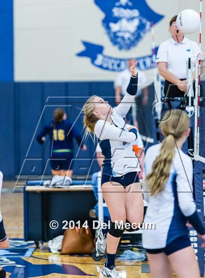 Thumbnail 3 in Newsome vs. Plant (Berkeley JV Tournament) photogallery.