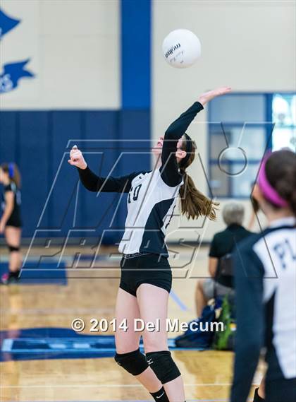 Thumbnail 1 in Newsome vs. Plant (Berkeley JV Tournament) photogallery.