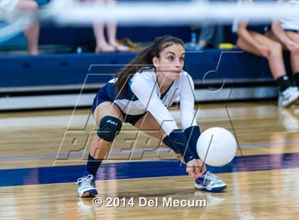Thumbnail 2 in Newsome vs. Plant (Berkeley JV Tournament) photogallery.