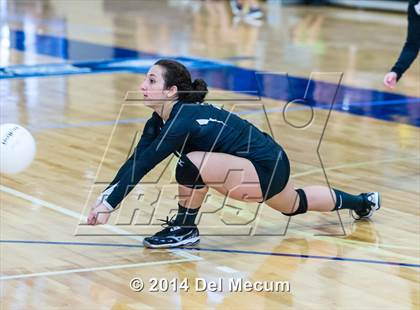 Thumbnail 2 in Newsome vs. Plant (Berkeley JV Tournament) photogallery.