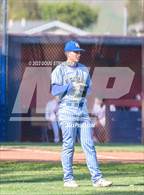 Photo from the gallery "Newark Memorial @ American"