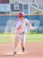 Photo from the gallery "Newark Memorial @ American"