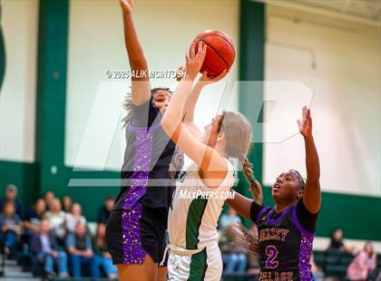 Thumbnail 1 in Jersey Village @ Stratford photogallery.