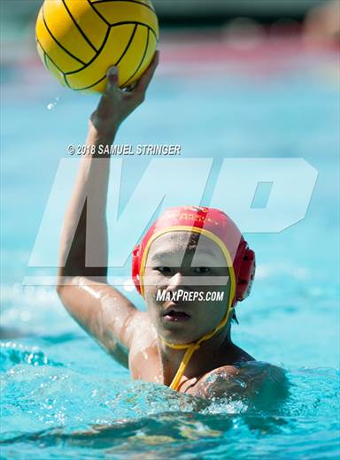 null - Photo 01