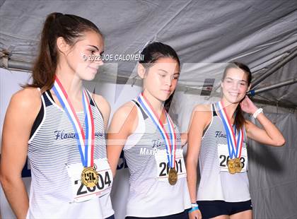 Thumbnail 2 in UIL Cross Country 6A Finals (5K) photogallery.