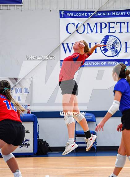 Thumbnail 1 in Incarnate Word Academy vs Brazos Christian (TAPPS Volleyball 4A Bi-District) photogallery.