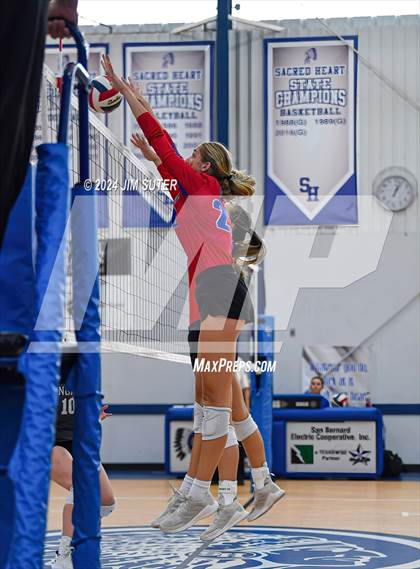 Thumbnail 1 in Incarnate Word Academy vs Brazos Christian (TAPPS Volleyball 4A Bi-District) photogallery.
