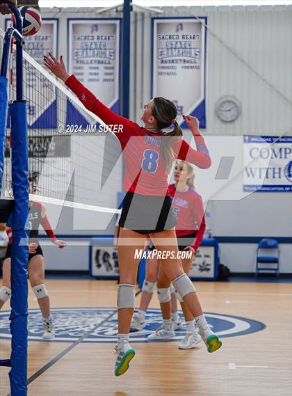 Thumbnail 1 in Incarnate Word Academy vs Brazos Christian (TAPPS Volleyball 4A Bi-District) photogallery.