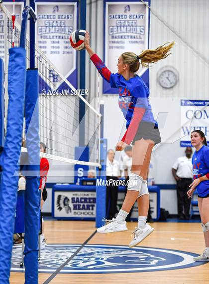 Thumbnail 3 in Incarnate Word Academy vs Brazos Christian (TAPPS Volleyball 4A Bi-District) photogallery.