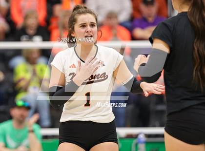 Thumbnail 3 in Nocona vs Whitewright (UIL 2A D1 Volleyball Semifinal) photogallery.