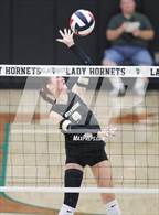 Photo from the gallery "Nocona vs Whitewright (UIL 2A D1 Volleyball Semifinal)"