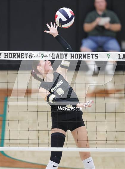 Thumbnail 2 in Nocona vs Whitewright (UIL 2A D1 Volleyball Semifinal) photogallery.