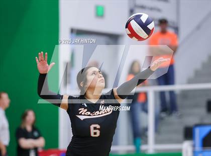 Thumbnail 3 in Nocona vs Whitewright (UIL 2A D1 Volleyball Semifinal) photogallery.