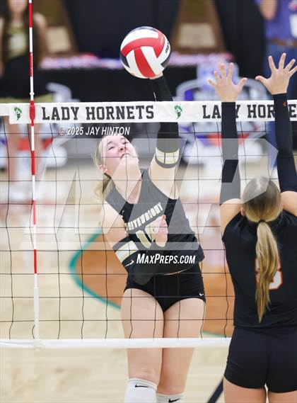 Thumbnail 2 in Nocona vs Whitewright (UIL 2A D1 Volleyball Semifinal) photogallery.
