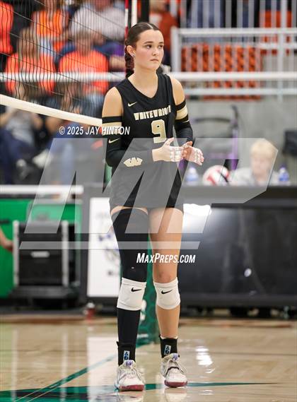 Thumbnail 3 in Nocona vs Whitewright (UIL 2A D1 Volleyball Semifinal) photogallery.