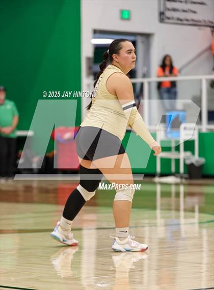 Thumbnail 3 in Nocona vs Whitewright (UIL 2A D1 Volleyball Semifinal) photogallery.