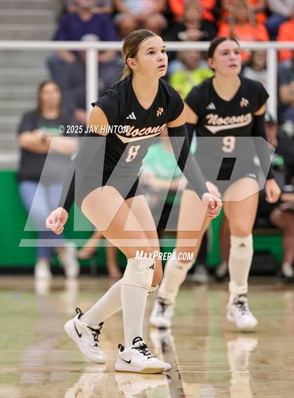 Thumbnail 2 in Nocona vs Whitewright (UIL 2A D1 Volleyball Semifinal) photogallery.