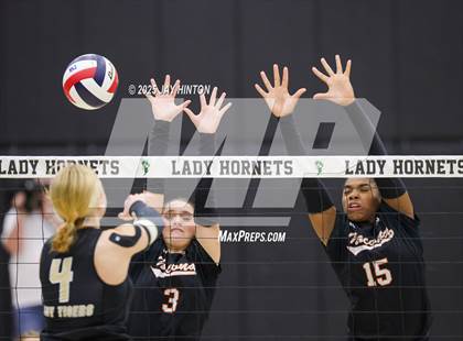 Thumbnail 1 in Nocona vs Whitewright (UIL 2A D1 Volleyball Semifinal) photogallery.