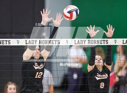 Thumbnail 1 in Nocona vs Whitewright (UIL 2A D1 Volleyball Semifinal) photogallery.
