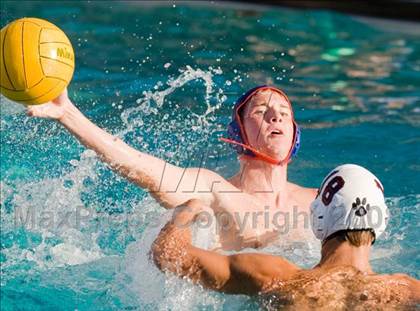 Thumbnail 3 in Modesto @ Beyer photogallery.