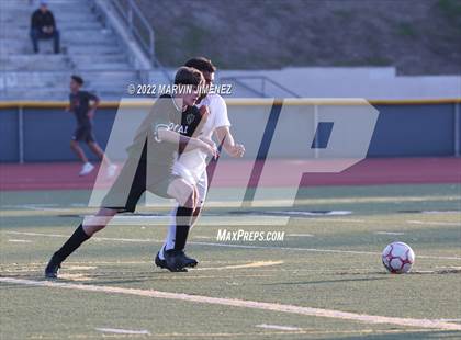Thumbnail 1 in Royal vs Oak Park photogallery.