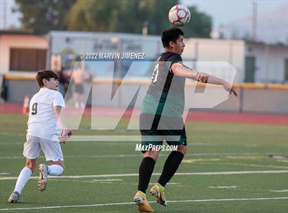 Thumbnail 2 in Royal vs Oak Park photogallery.
