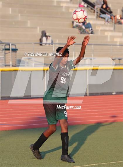Thumbnail 1 in Royal vs Oak Park photogallery.