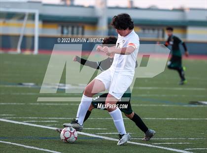 Thumbnail 1 in Royal vs Oak Park photogallery.