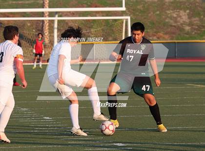Thumbnail 1 in Royal vs Oak Park photogallery.