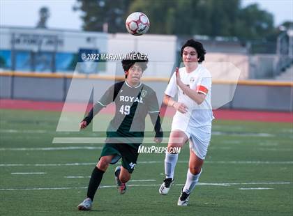 Thumbnail 1 in Royal vs Oak Park photogallery.
