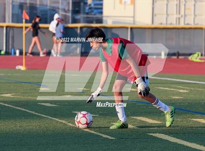 Thumbnail 3 in Royal vs Oak Park photogallery.