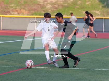Thumbnail 1 in Royal vs Oak Park photogallery.