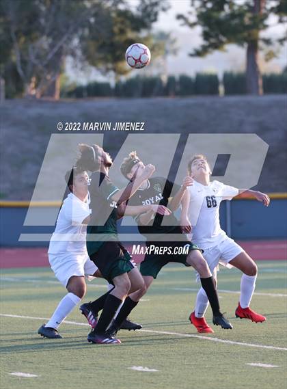 Thumbnail 3 in Royal vs Oak Park photogallery.