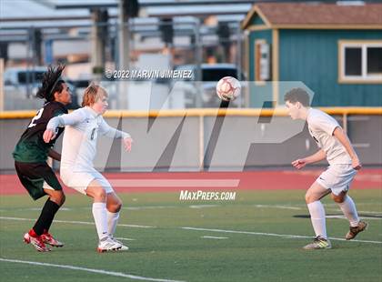 Thumbnail 2 in Royal vs Oak Park photogallery.