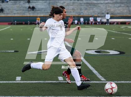 Thumbnail 1 in Royal vs Oak Park photogallery.