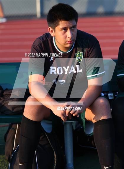 Thumbnail 1 in Royal vs Oak Park photogallery.
