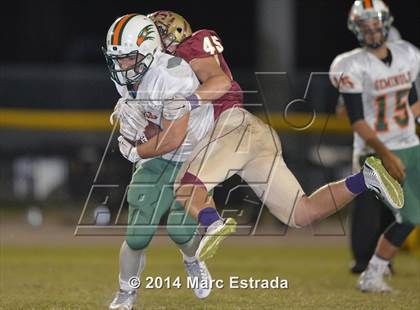 Thumbnail 3 in Seminole @ Countryside photogallery.