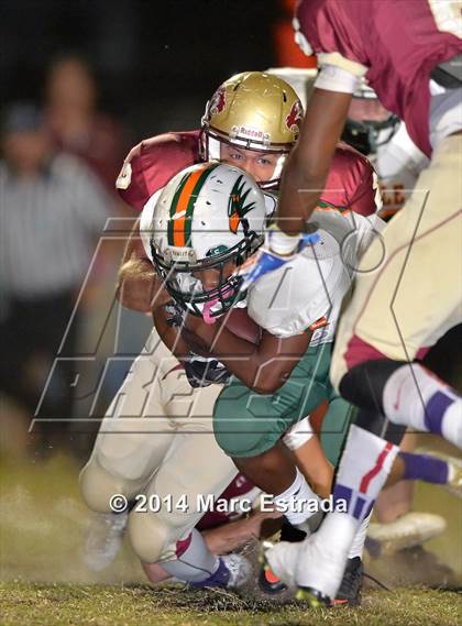 Thumbnail 3 in Seminole @ Countryside photogallery.